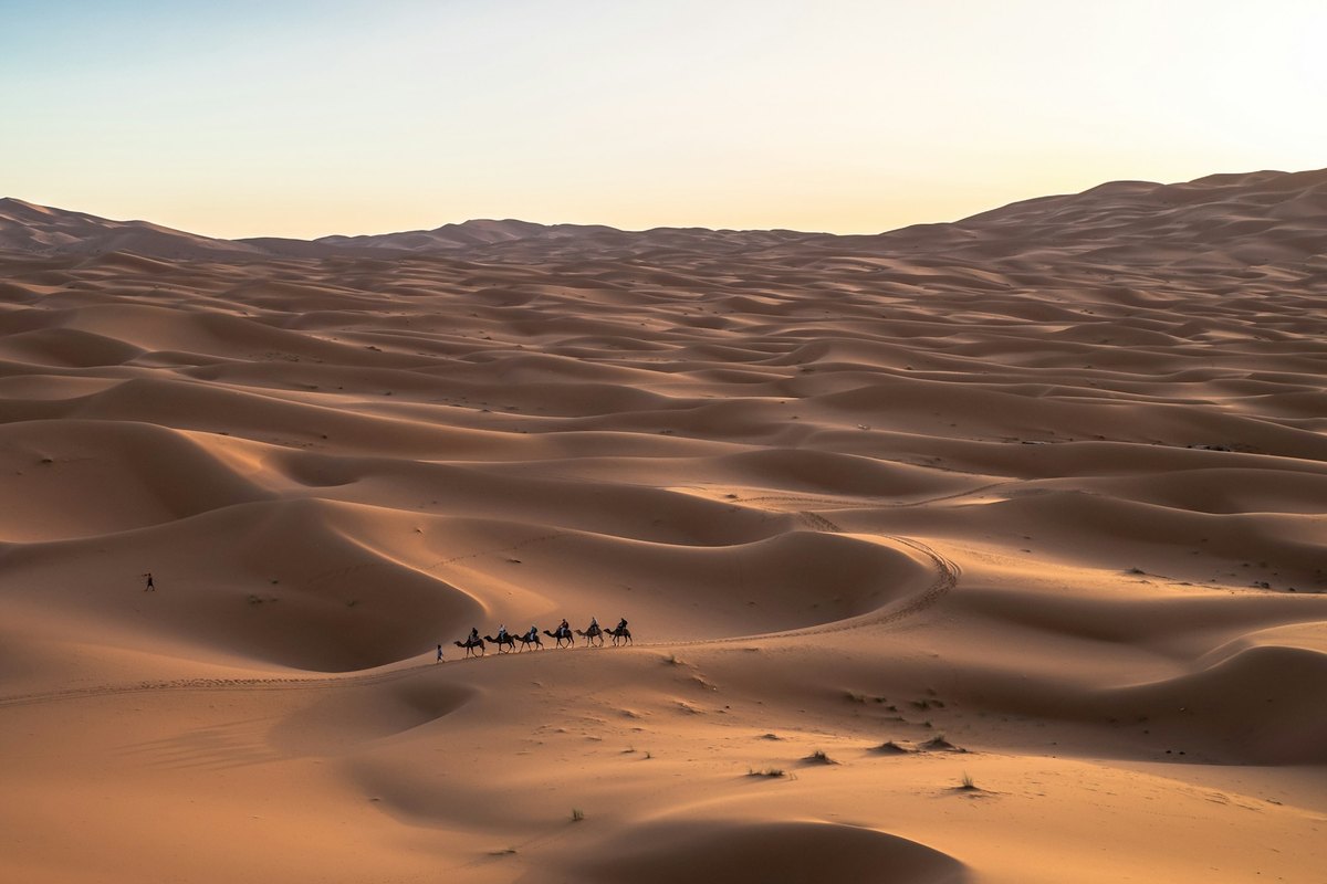 South & Desert